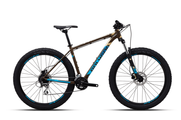 Polygon premier 4