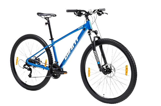 Giant Rincon 29 2