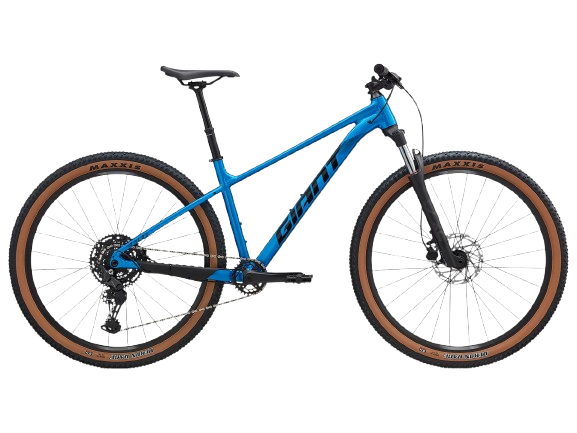 Bicycles at Shift Bicycle Store